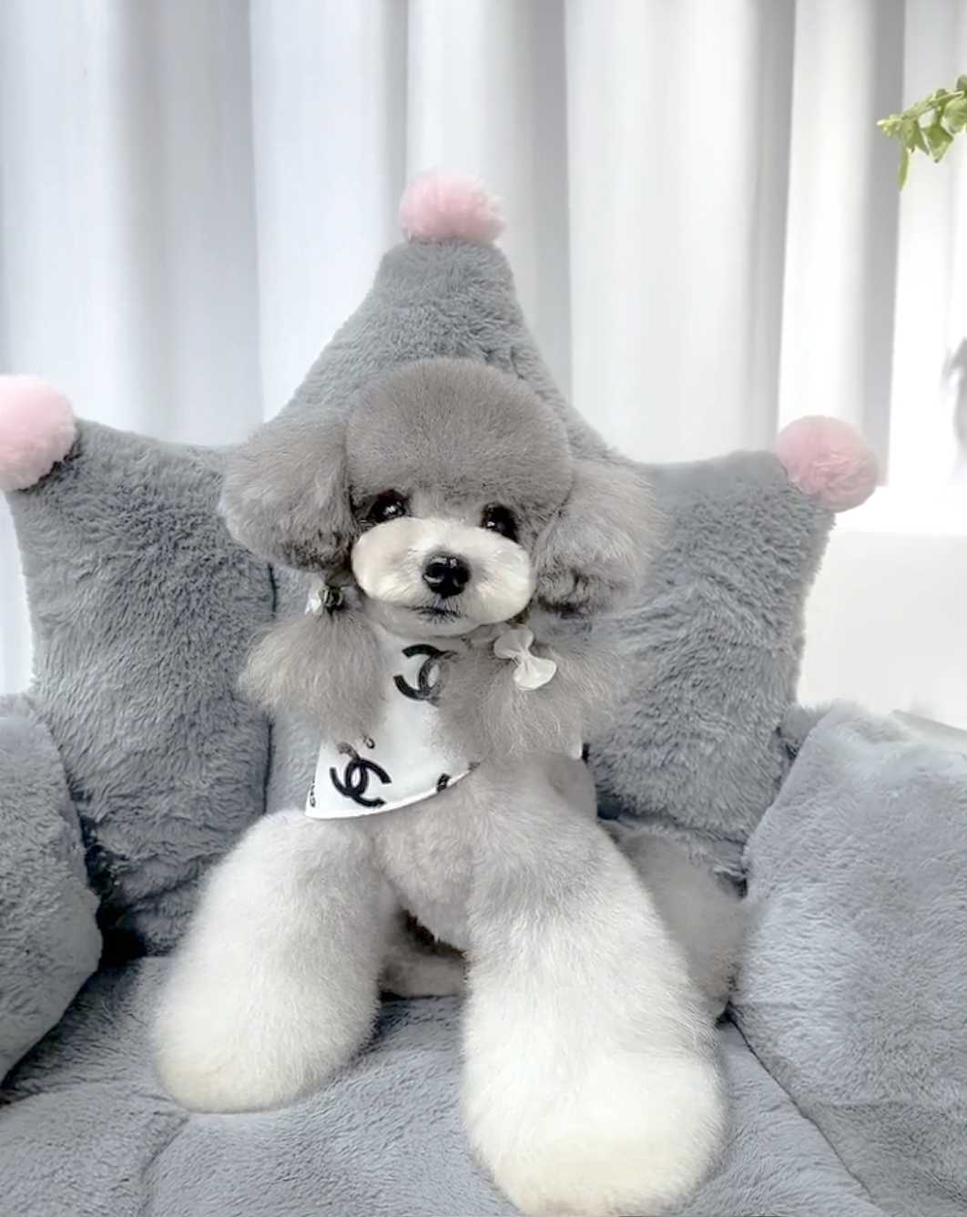 고급 디자인 가위컷